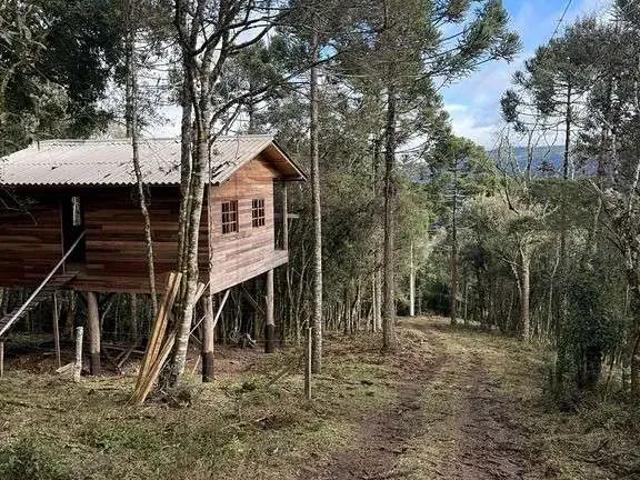 Terreno / Lote para Venda em Urubici/SC Águas Brancas