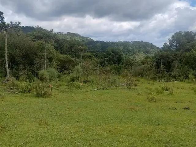 Terreno / Lote para Venda em Urubici/SC Águas Brancas