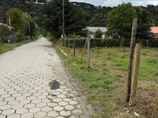Terreno / Lote para Venda em Urubici/SC Águas Brancas