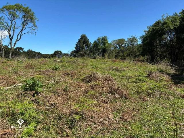 Terreno / Lote para Venda em Urubici/SC Baiano