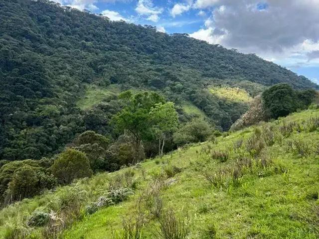 Terreno / Lote para Venda em Urubici/SC Baiano