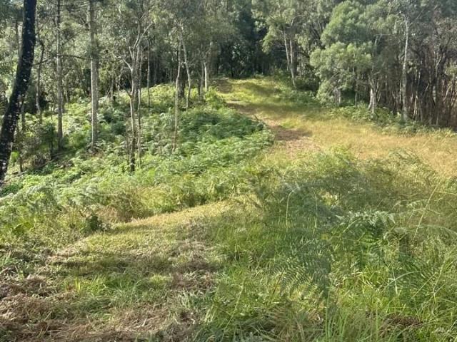 Terreno / Lote para Venda em Urubici/SC Invernador