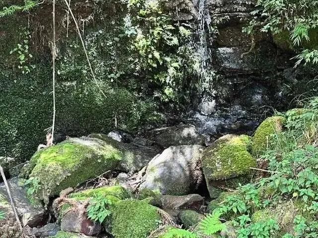 Terreno / Lote para Venda em Urubici/SC São José