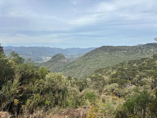 Terreno / Lote para Venda em Urubici/SC Santa Tereza