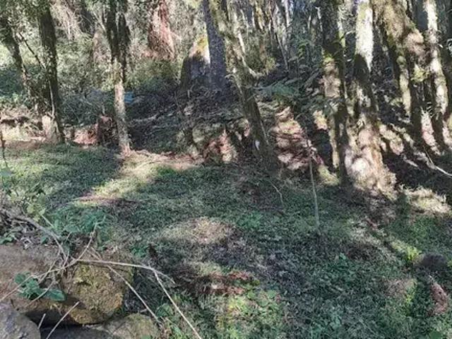 Terreno / Lote para Venda em Urubici/SC Santa Tereza