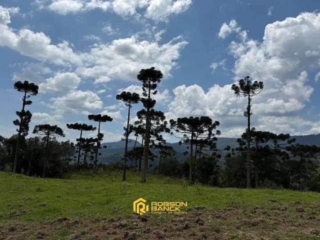 Terreno / Lote para Venda em Urubici/SC Santa Tereza