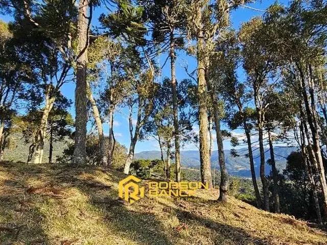 Terreno / Lote para Venda em Urubici/SC Santa Tereza