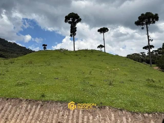 Terreno / Lote para Venda em Urubici/SC Santa Tereza