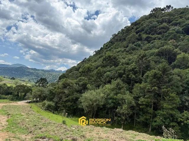 Terreno / Lote para Venda em Urubici/SC Santa Tereza