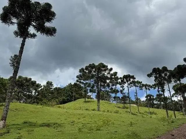 Terreno / Lote para Venda em Urubici/SC Santa Tereza