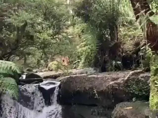 Terreno / Lote para Venda em Urubici/SC Santa Tereza