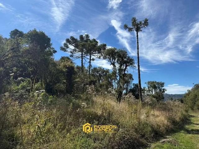 Terreno / Lote para Venda em Urubici/SC Santa Tereza