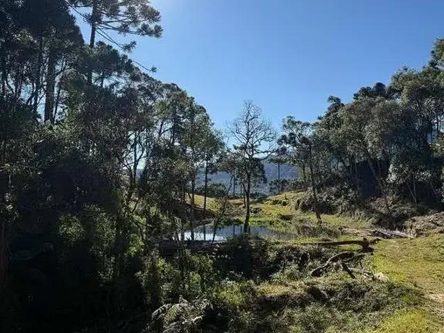 Terreno / Lote para Venda em Urubici/SC Santa Tereza