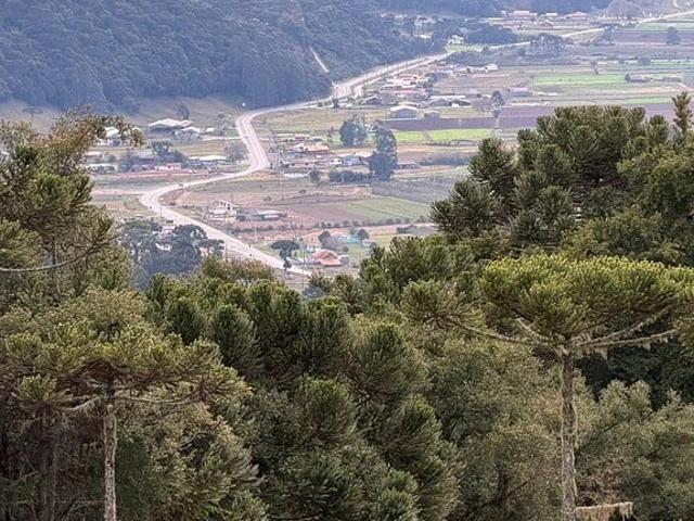 Terreno / Lote para Venda em Urubici/SC Santa Tereza