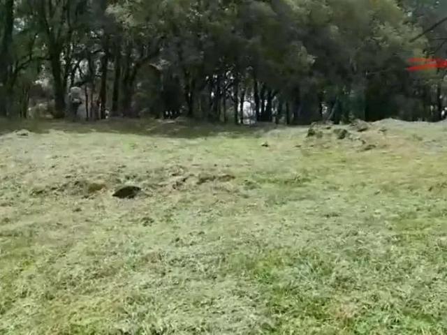 Terreno / Lote para Venda em Urubici/SC Santa Tereza