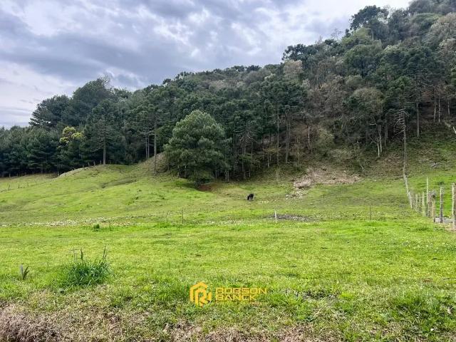 Terreno / Lote para Venda em Urubici/SC Santa Tereza