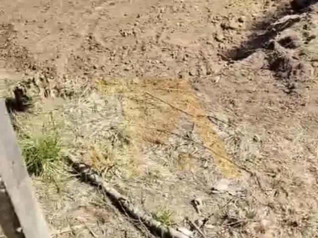 Terreno / Lote para Venda em Urubici/SC Santa Tereza