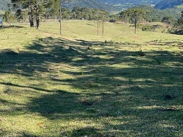 Terreno / Lote para Venda em Urubici/SC Serra do Panelão