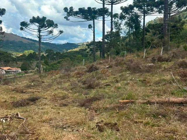 Terreno / Lote para Venda em Urubici/SC Vacas Gordas