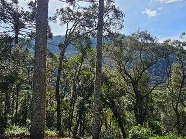 Terreno / Lote para Venda em Urubici/SC Zona Rural