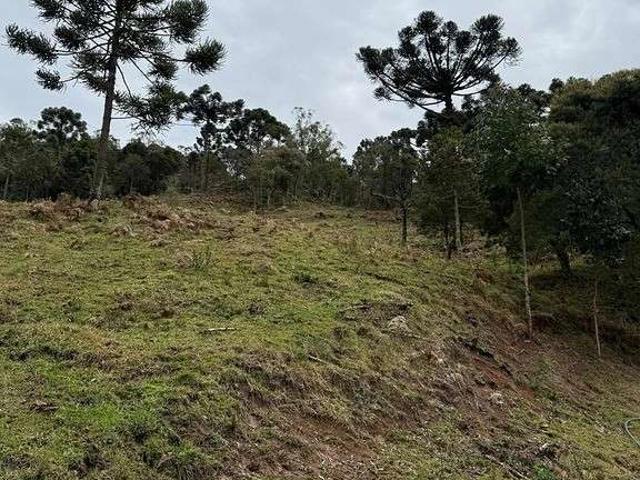 Terreno / Lote para Venda em Urubici/SC Zona Rural
