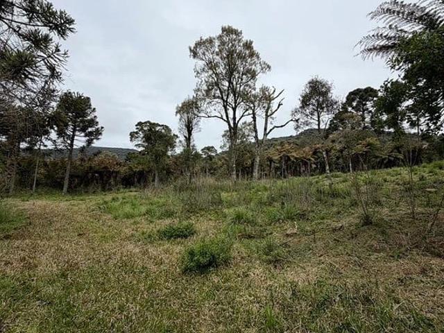 Terreno / Lote para Venda em Urubici/SC Zona Rural