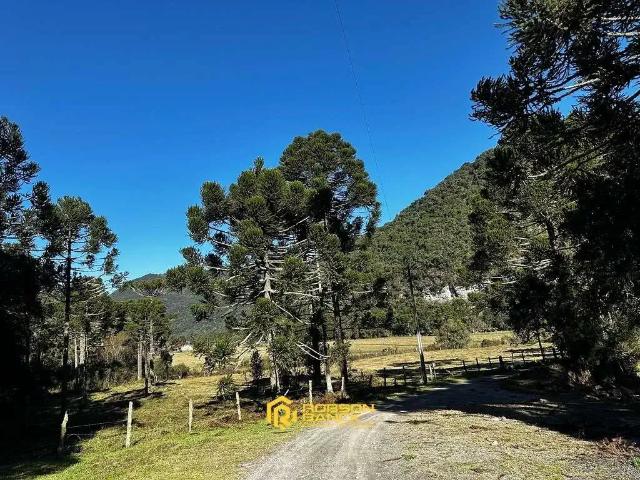 Terreno / Lote para Venda em Urubici/SC Zona Rural
