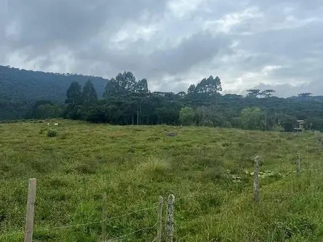 Terreno / Lote para Venda em Urubici/SC Zona Rural
