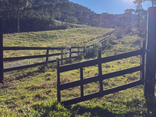 Terreno / Lote para Venda em Urubici/SC Zona Rural