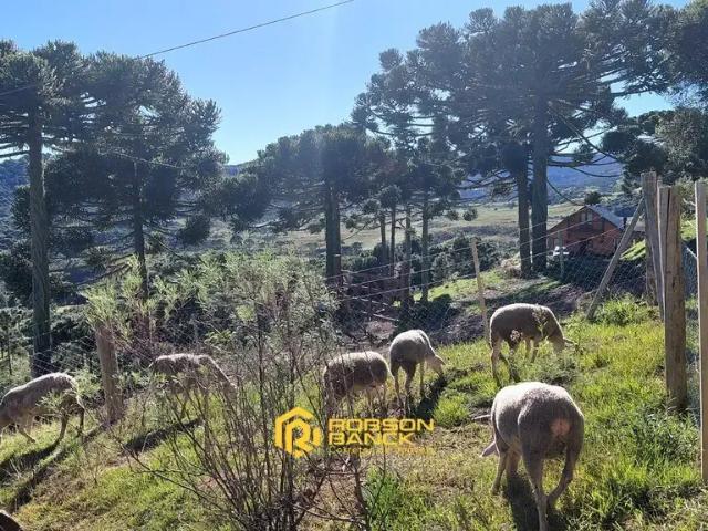 Terreno / Lote para Venda em Urubici/SC Zona Rural