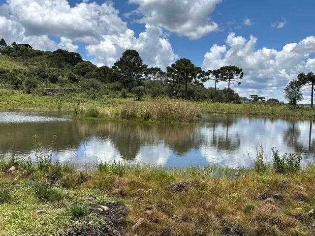 Terreno / Lote para Venda em Urubici/SC Zona Rural