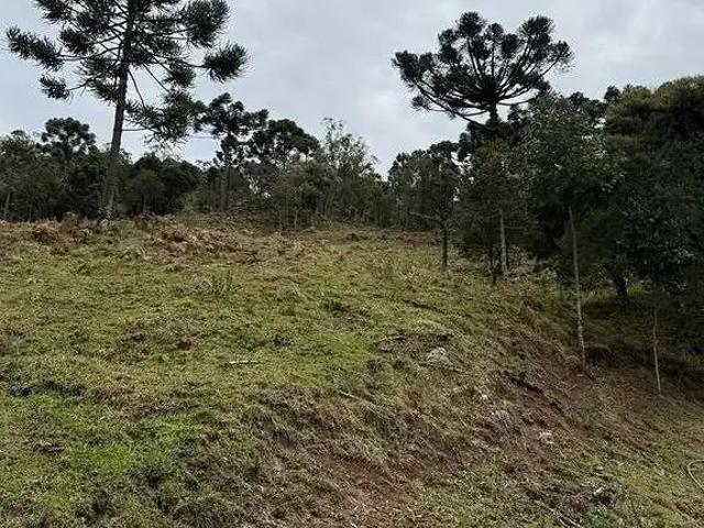 Terreno / Lote para Venda em Urubici/SC Zona Rural