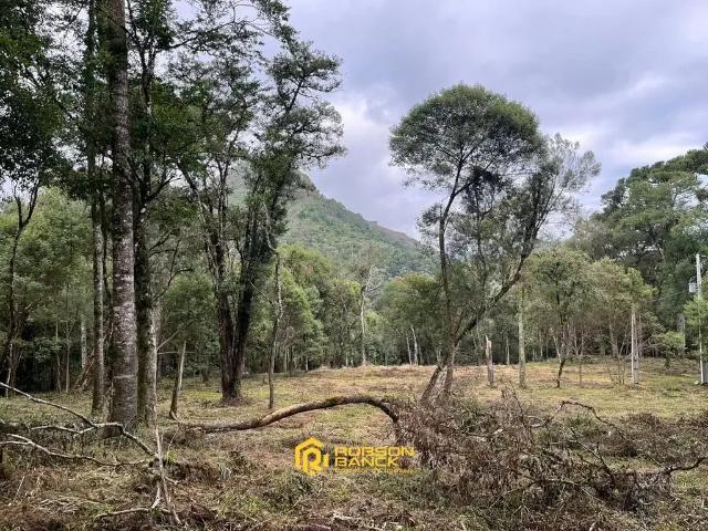 Terreno / Lote para Venda em Urubici/SC Zona Rural