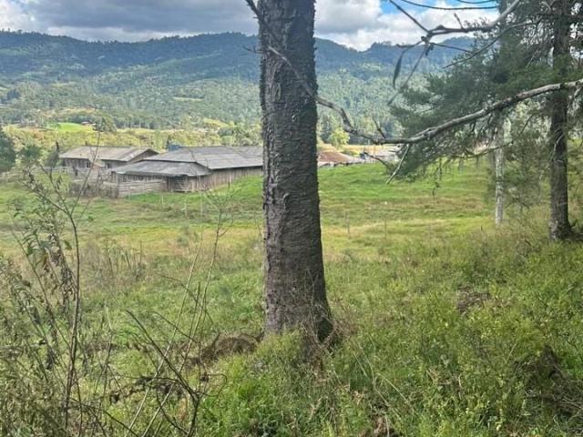 Terreno / Lote para Venda em Urubici/SC Zona Rural