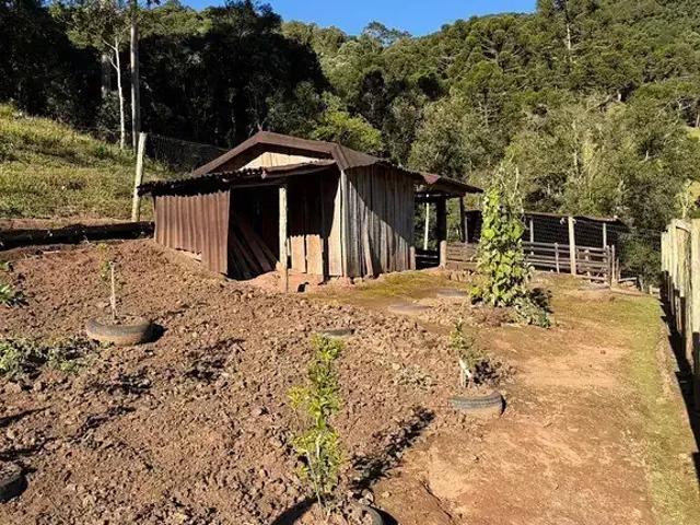 Terreno / Lote para Venda em Urubici/SC Zona Rural