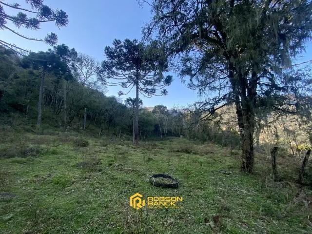 Terreno / Lote para Venda em Urubici/SC Zona Rural