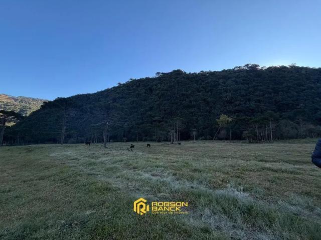 Terreno / Lote para Venda em Urubici/SC Zona Rural