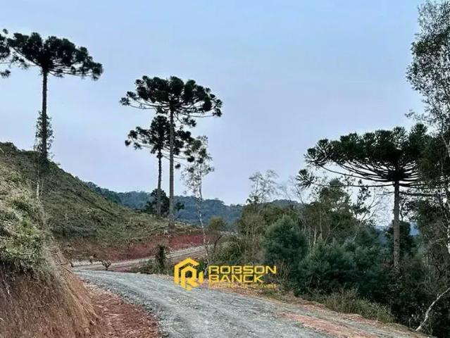 Terreno / Lote para Venda em Urubici/SC Zona Rural