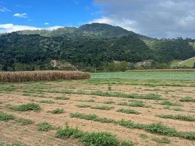 Terreno / Lote para Venda em Urubici/SC Zona Rural