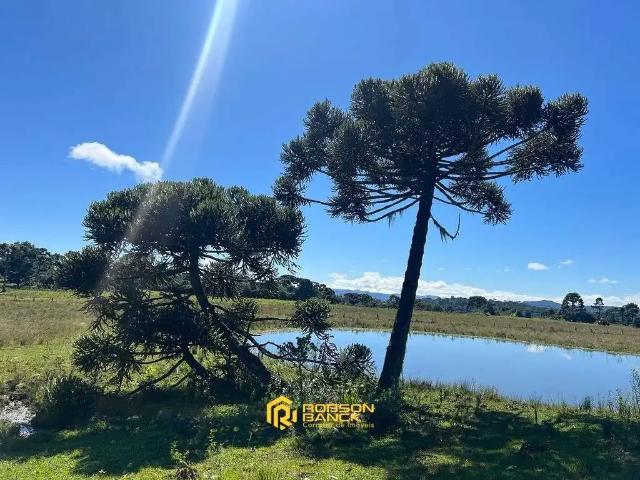 Terreno / Lote para Venda em Urubici/SC Zona Rural