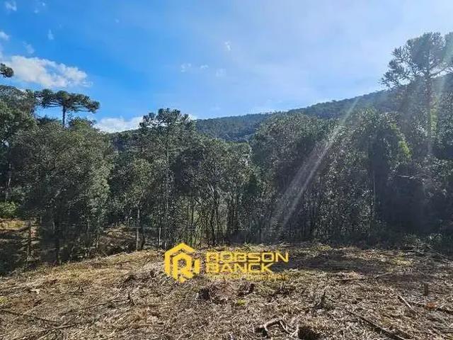 Terreno / Lote para Venda em Urubici/SC Zona Rural