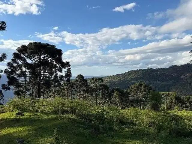 Terreno / Lote para Venda em Urubici/SC Morro da Igreja