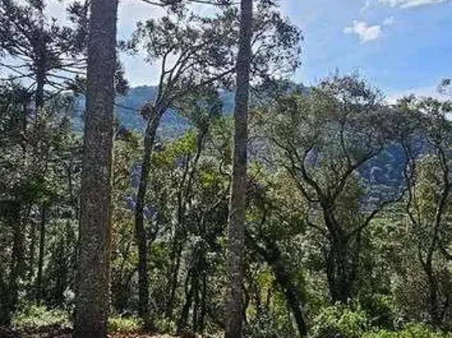 Terreno / Lote para Venda em Urubici/SC Zona Rural