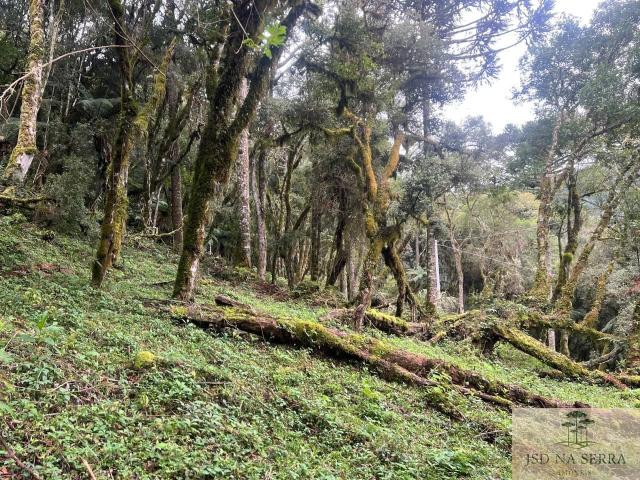 Terreno / Lote para Venda em Urubici/SC Zona Rural