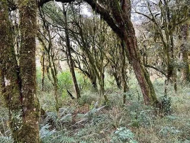 Terreno / Lote para Venda em Urubici/SC Zona Rural
