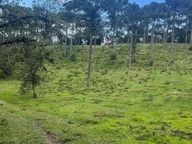 Terreno / Lote para Venda em Urubici/SC Zona Rural