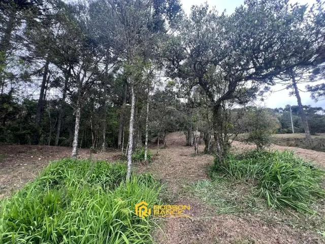 Terreno / Lote para Venda em Urubici/SC Zona Rural