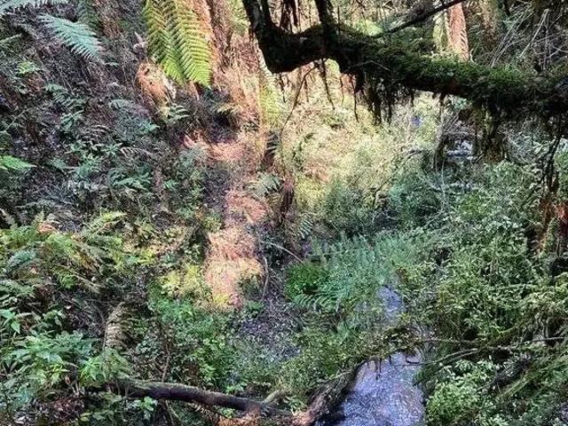 Terreno / Lote para Venda em Urubici/SC Zona Rural