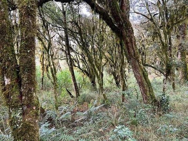 Terreno / Lote para Venda em Urubici/SC Zona Rural