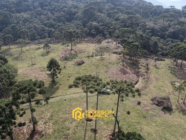 Terreno / Lote para Venda em Urubici/SC Zona Rural